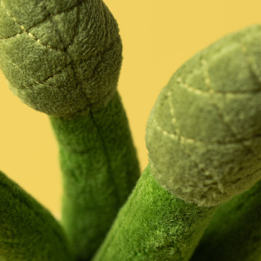 Amuseables Asparagus | Jellycat